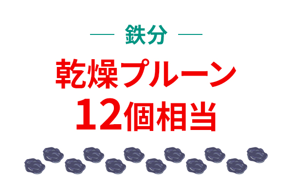 鉄分　乾燥プルーン12個相当