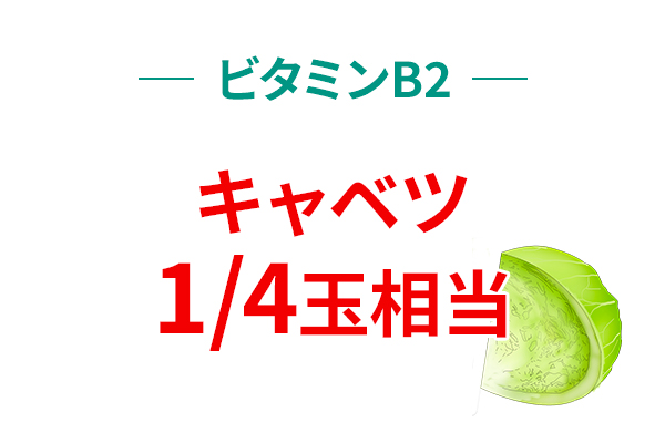 ビタミンB2　キャベツ1/4玉相当